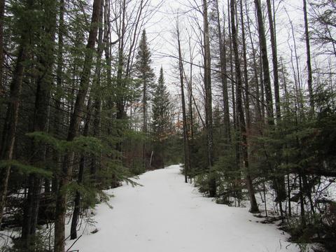 6171 E Hamilton Rd, Alpena, MI 49707 photo 15