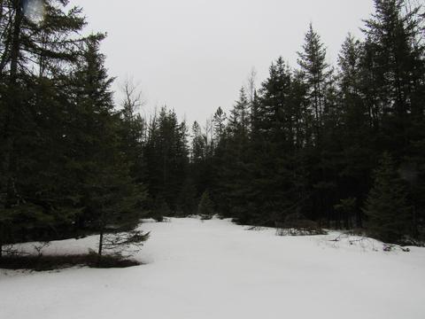 6171 E Hamilton Rd, Alpena, MI 49707 photo 13