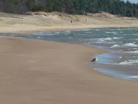 W Us-2, St. Ignace, MI 49781 photo 30
