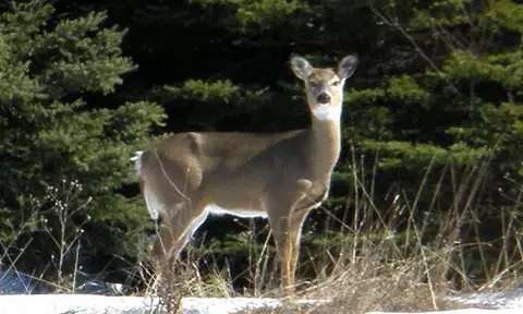 W Us-2, St. Ignace, MI 49781 photo 34