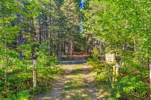 106 Bush Road 313 Acres Wolverine Mi 49799 Rd #313 ACRES, Wolverine, MI 49799