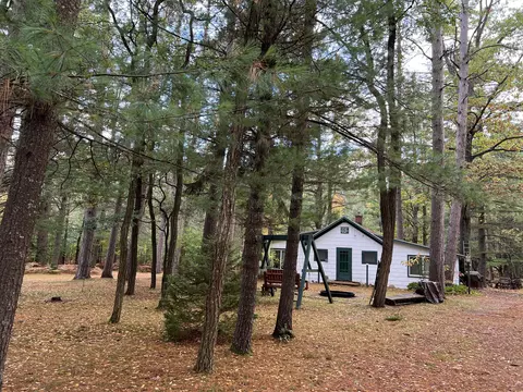 bush road, Wolverine, MI 49799 photo 35