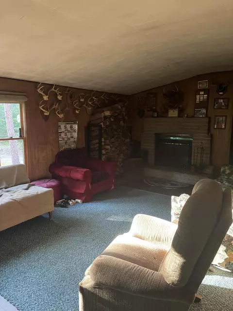 bush road, Wolverine, MI 49799 photo 10