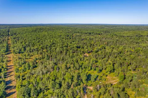 bush road, Wolverine, MI 49799 photo 3