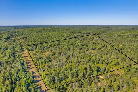 bush road, Wolverine, MI 49799 photo 2