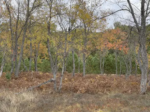 bush road, Wolverine, MI 49799 photo 27