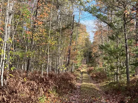 bush road, Wolverine, MI 49799 photo 34