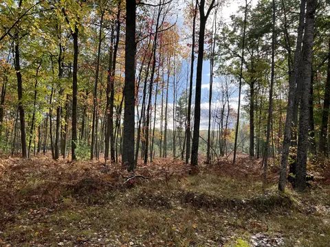 bush road, Wolverine, MI 49799 photo 30