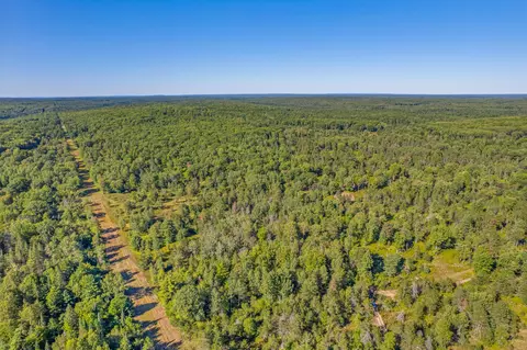 bush road, Wolverine, MI 49799 photo 6