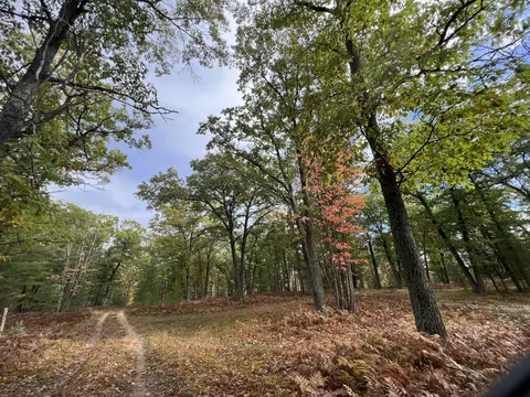bush road, Wolverine, MI 49799 photo 32