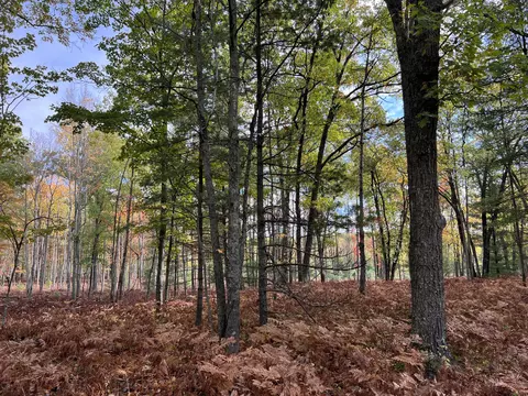 bush road, Wolverine, MI 49799 photo 31