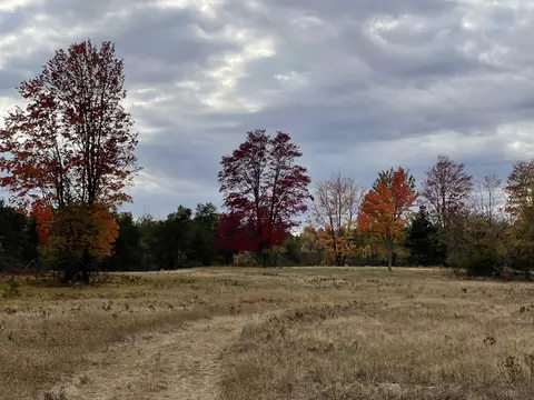 bush road, Wolverine, MI 49799 photo 25