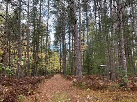bush road, Wolverine, MI 49799 photo 36