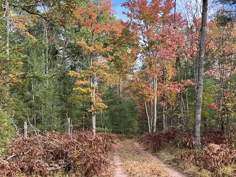 bush road, Wolverine, MI 49799 photo 33