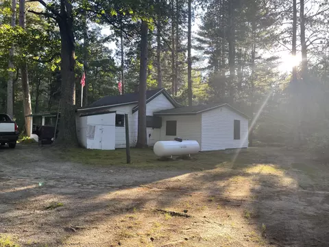bush road, Wolverine, MI 49799 photo 22