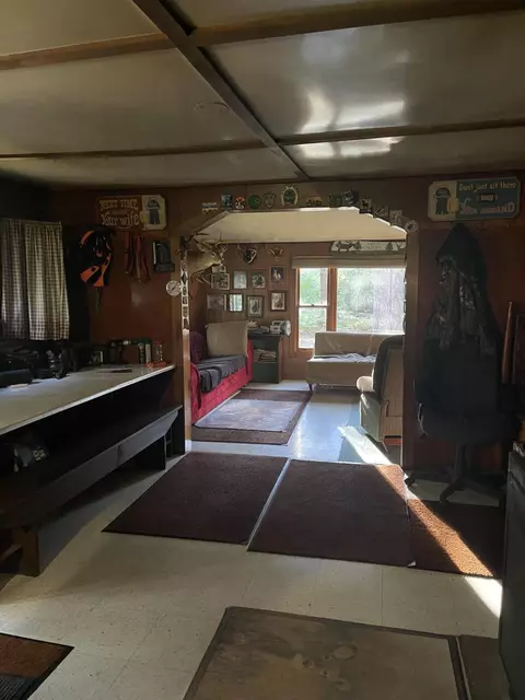 bush road, Wolverine, MI 49799 photo 9