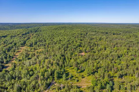 bush road, Wolverine, MI 49799 photo 5