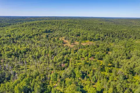 bush road, Wolverine, MI 49799 photo 4