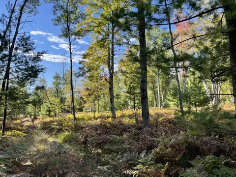 bush road, Wolverine, MI 49799 photo 29