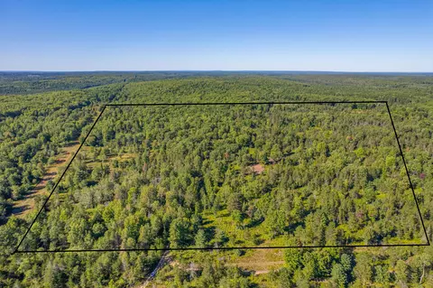 bush road, Wolverine, MI 49799