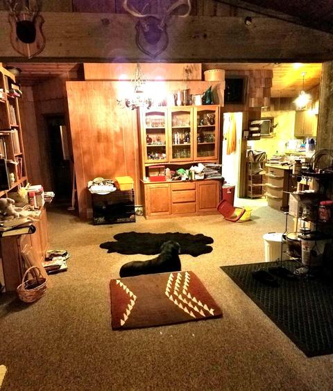 17287 Trowbridge Rd, Wolverine, MI 49799 photo 6