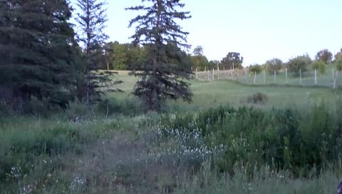 17287 Trowbridge Rd, Wolverine, MI 49799 photo 44