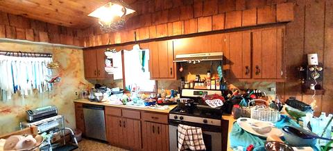 17287 Trowbridge Rd, Wolverine, MI 49799 photo 15