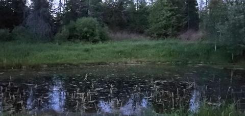 17287 Trowbridge Rd, Wolverine, MI 49799 photo 43