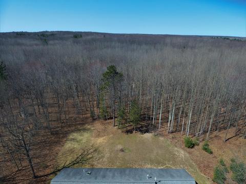 4110 W Hubert Road Spruce Mi 48762 Rd, Spruce, MI 48762 photo 52