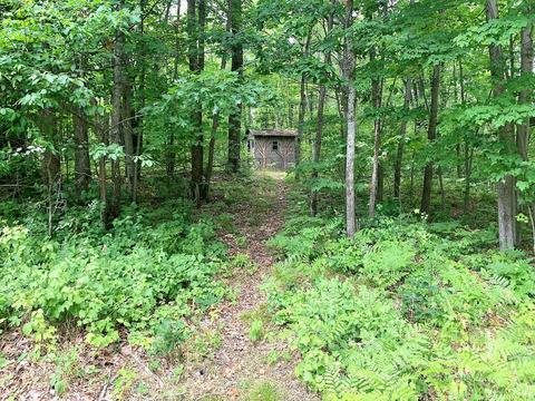 4110 W Hubert Road Spruce Mi 48762 Rd, Spruce, MI 48762 photo 57
