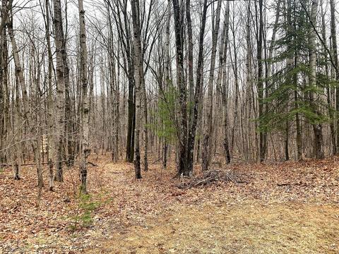 4110 W Hubert Road Spruce Mi 48762 Rd, Spruce, MI 48762 photo 49