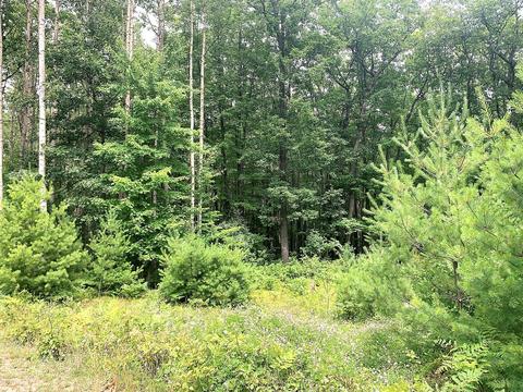 4110 W Hubert Road Spruce Mi 48762 Rd, Spruce, MI 48762 photo 60