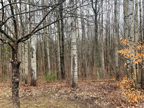 4110 W Hubert Road Spruce Mi 48762 Rd, Spruce, MI 48762 photo 48