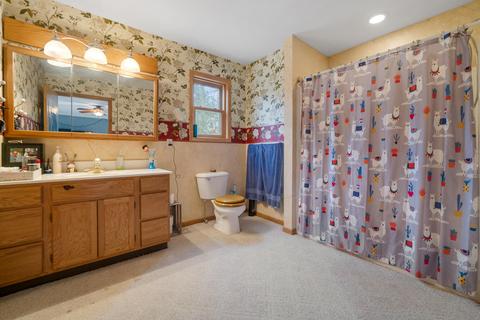 5953 Dailey Rd, Indian River, MI 49749 photo 39