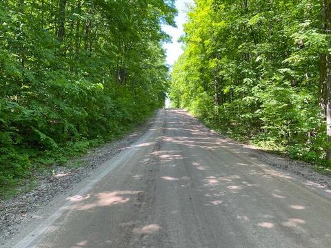 15428 Wurm Rd, Wolverine, MI 49799 photo 9