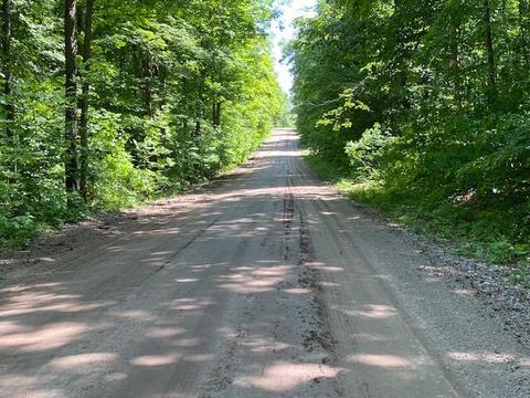15428 Wurm Rd, Wolverine, MI 49799 photo 10