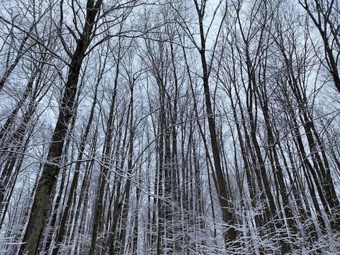 15428 Wurm Rd, Wolverine, MI 49799 photo 7