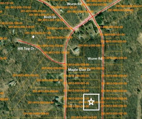 15428 Wurm Rd, Wolverine, MI 49799 photo 11