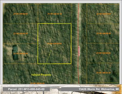 15428 Wurm Road Wolverine Mi 49799 Rd, Wolverine, MI 49799