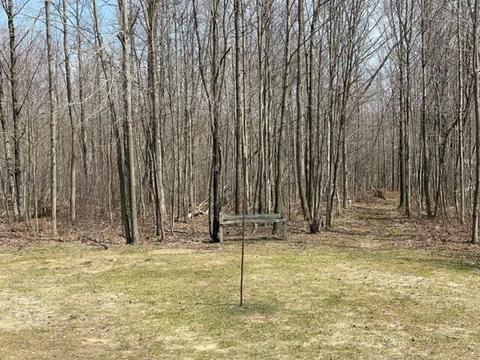 5275 Soderquist Rd, Mancelona, MI 49659 photo 15