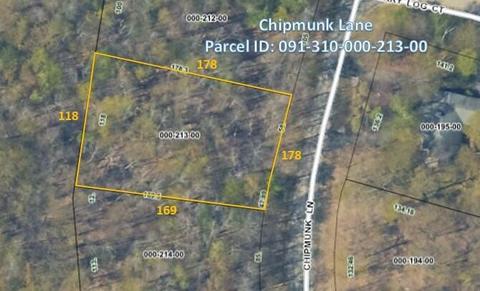 Chipmunk Lane, Gaylord, MI 49735