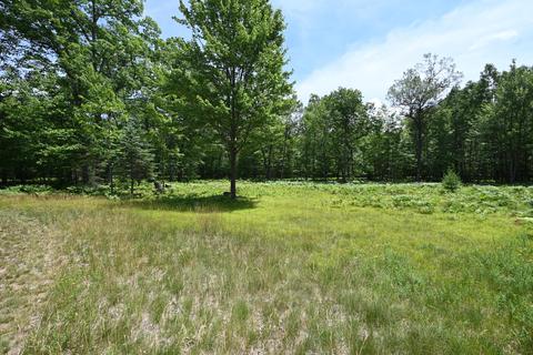 Potawatomi Trail, Roscommon, MI 48653
