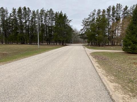 6009 Pells Street Pellston Mi 49769 St, Pellston, MI 49769 photo 18