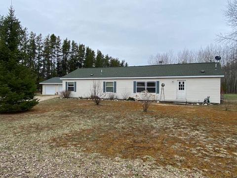 6009 Pells Street Pellston Mi 49769 St, Pellston, MI 49769 photo 1