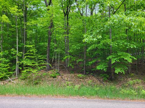 303 Michaywe Dr, Gaylord, MI 49735