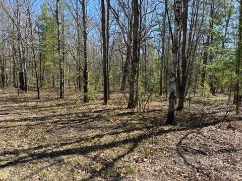 APT 4 Old 27, Frederic, MI 49733 photo 3