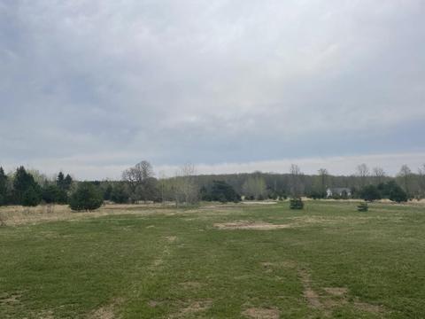 11323 Sherman Rd, Frederic, MI 49733 photo 6