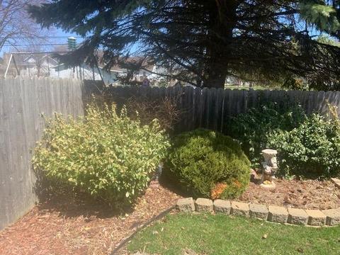 111 E Bingham Street Alpena Mi 49707 St, Alpena, MI 49707 photo 8