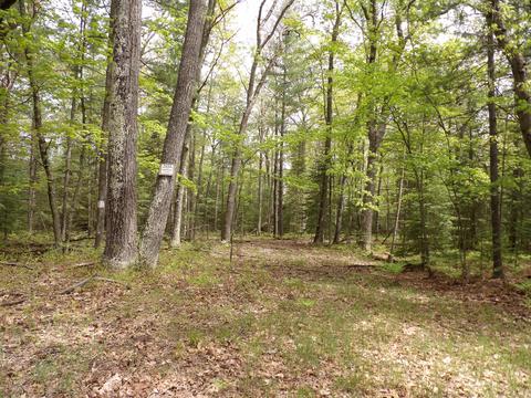 lot10 Club Rd, Saint Helen, MI 48656
