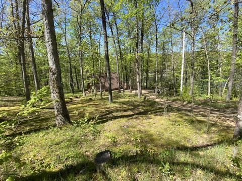 131 Oak Ln, Gladwin, MI 48624 photo 22